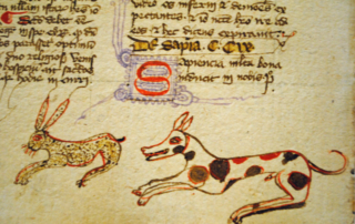 Camaldoli-Manoscritti-MS-89-Sacala-coeli-22 Camaldoli-Manoscritti-MS-89-Sacala-coeli-22